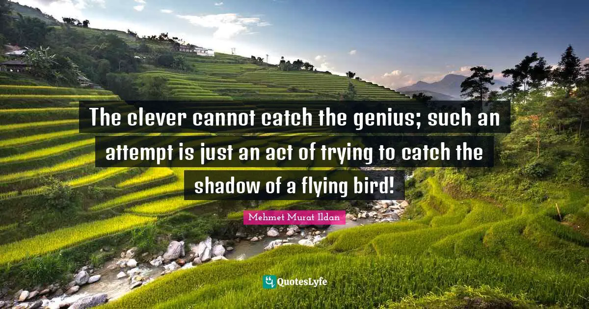 The clever cannot catch the genius; such an attempt is just an act of trying to catch the shadow of a flying bird!