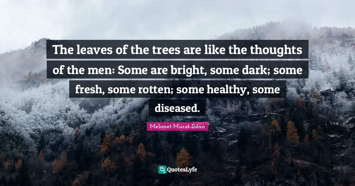 The leaves of the trees are like the thoughts of the men: Some are bright, some dark; some fresh, some rotten; some healthy, some diseased.