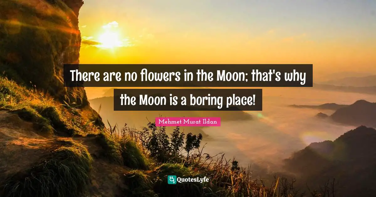 There are no flowers in the Moon; that's why the Moon is a boring place!
