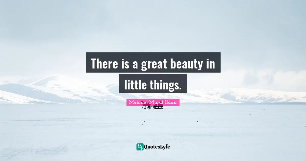 There is a great beauty in little things.