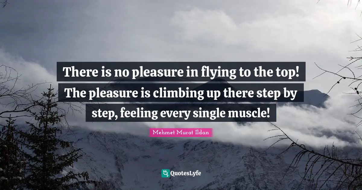 There is no pleasure in flying to the top! The pleasure is climbing up there step by step, feeling every single muscle!