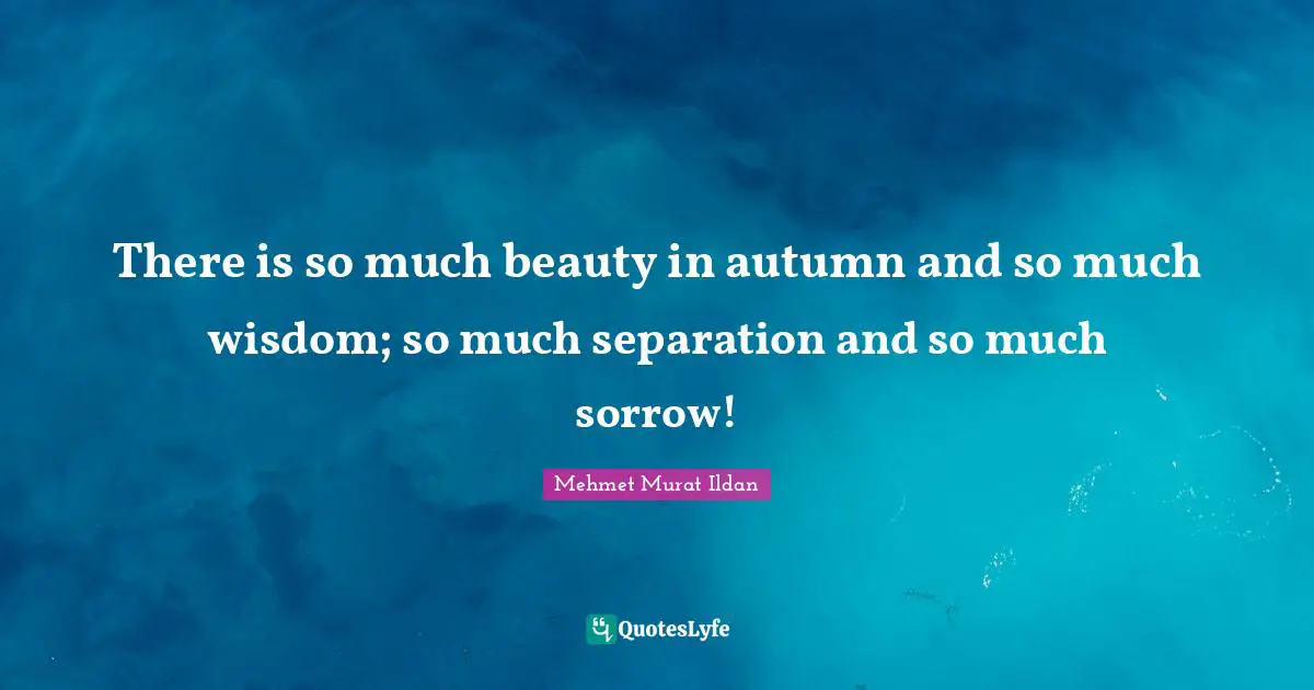 There is so much beauty in autumn and so much wisdom; so much separation and so much sorrow!