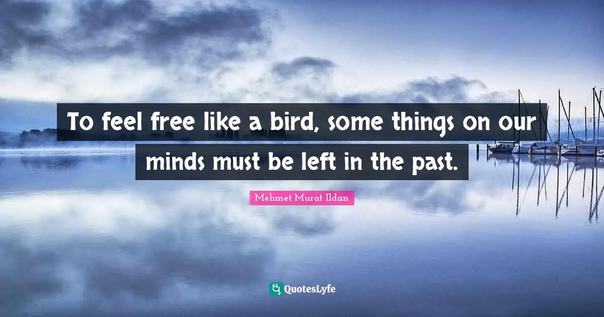 To feel free like a bird, some things on our minds must be left in the past.