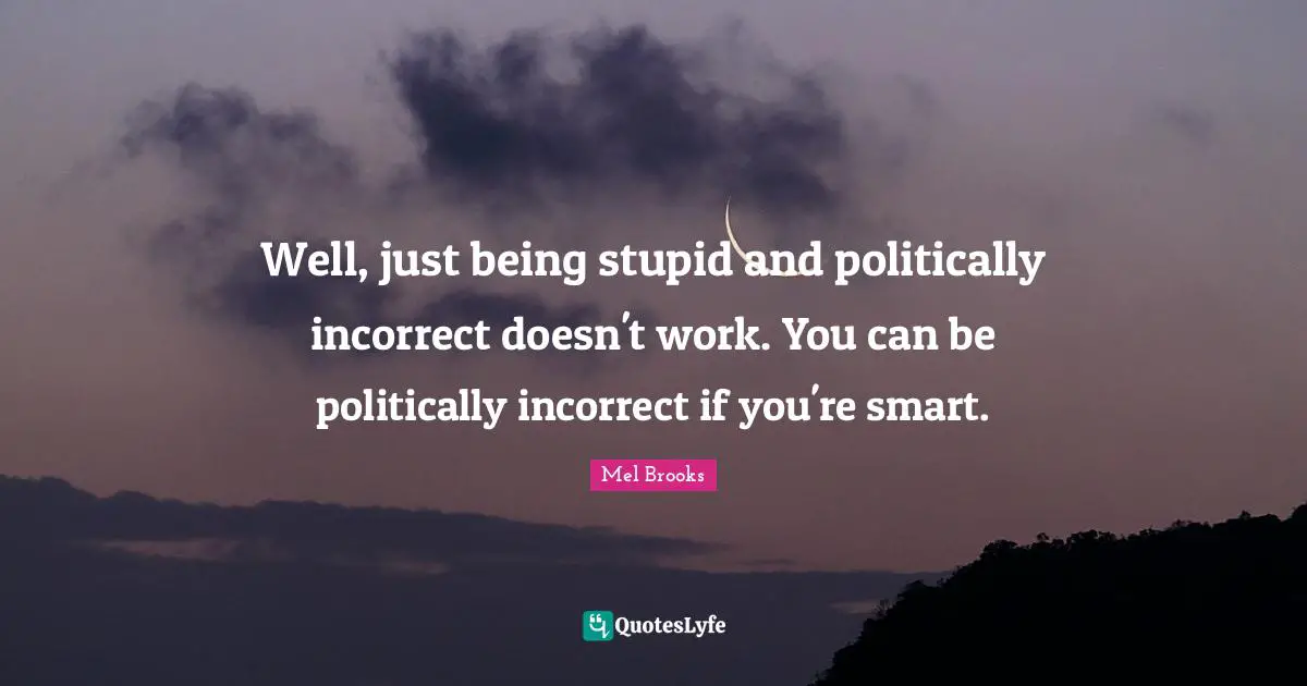 Well, just being stupid and politically incorrect doesn't work. You can be politically incorrect if you're smart.