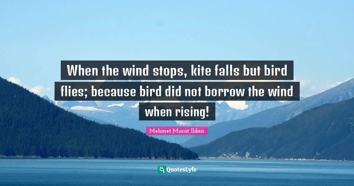 When the wind stops, kite falls but bird flies; because bird did not borrow the wind when rising!
