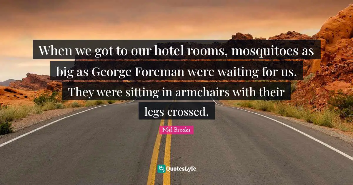 Mosquitoes Quotes: "When we got to our hotel rooms, mosquitoes as big as George Foreman were waiting for us. They were sitting in armchairs with their legs crossed."