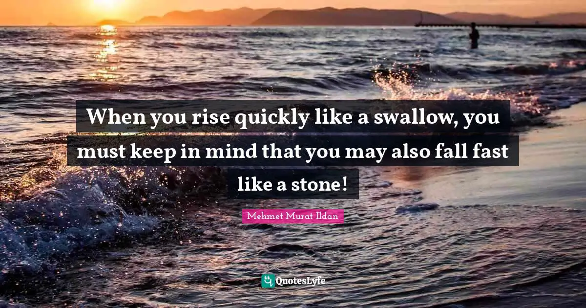 When you rise quickly like a swallow, you must keep in mind that you may also fall fast like a stone!