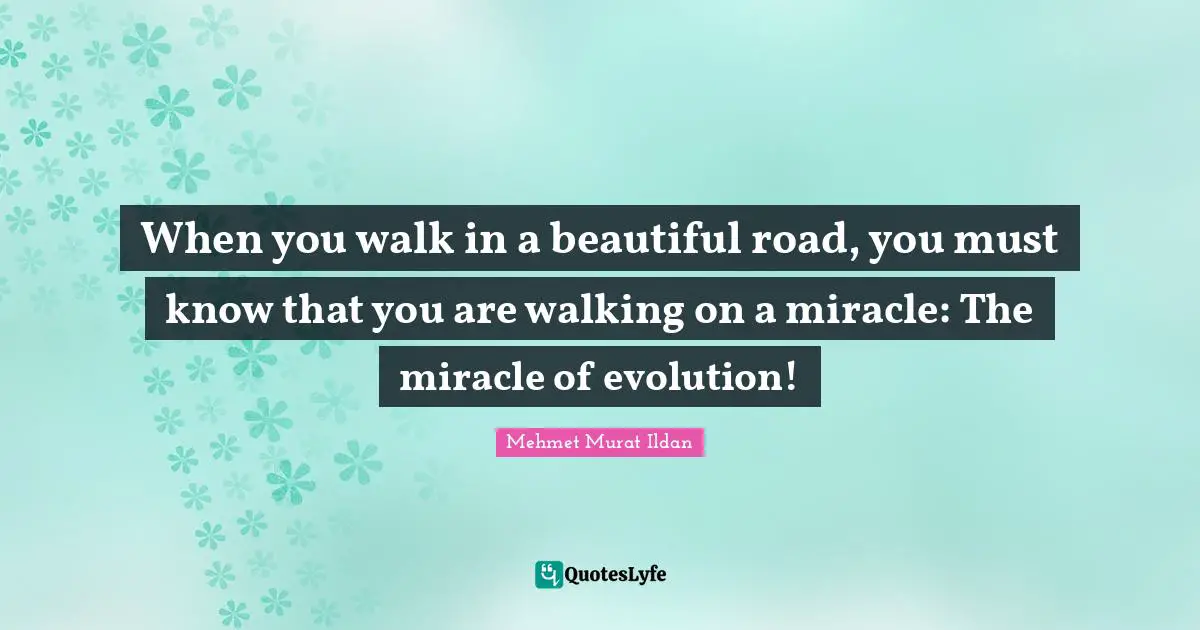 When you walk in a beautiful road, you must know that you are walking on a miracle: The miracle of evolution!