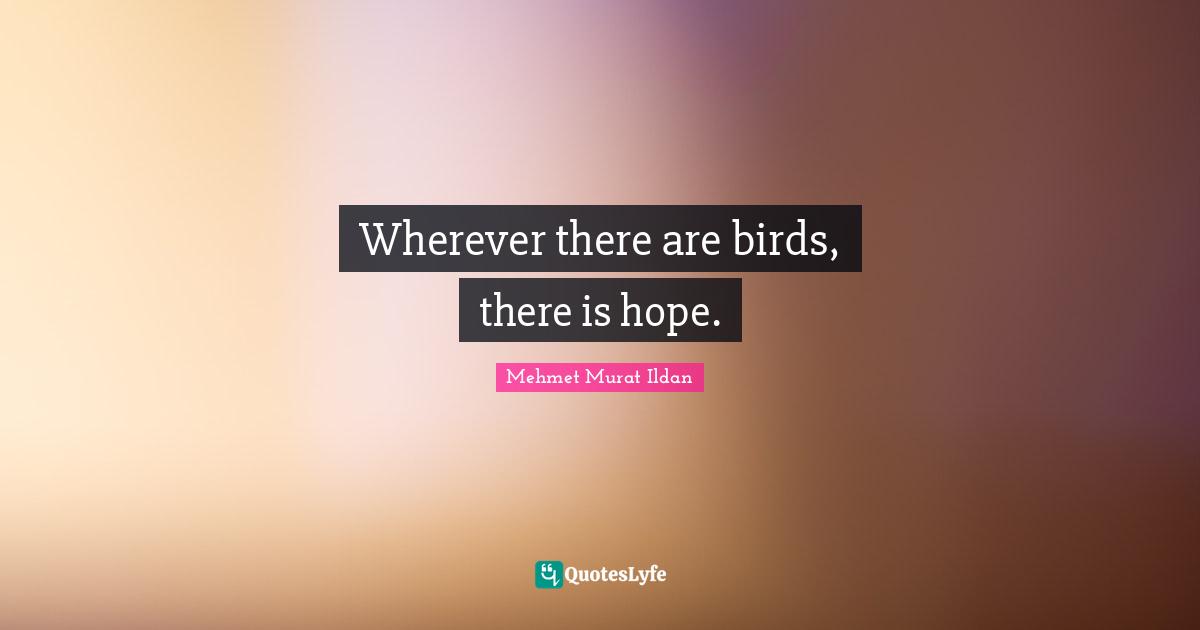 There Is Hope Quotes: "Wherever there are birds, there is hope."