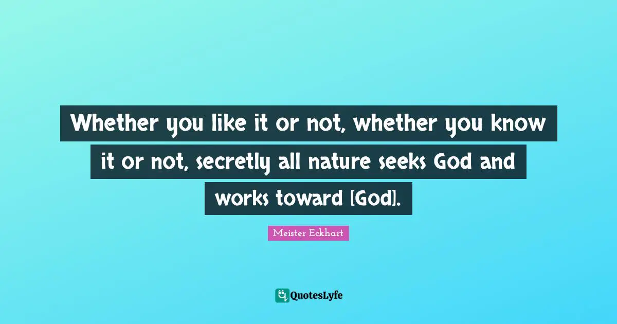 Whether you like it or not, whether you know it or not, secretly all nature seeks God and works toward [God].