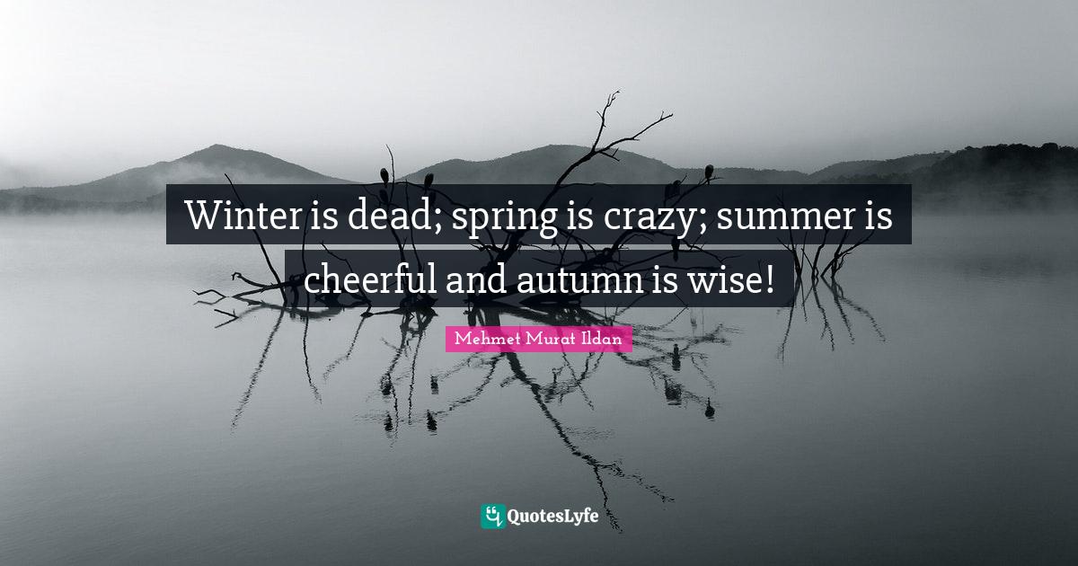 Winter is dead; spring is crazy; summer is cheerful and autumn is wise