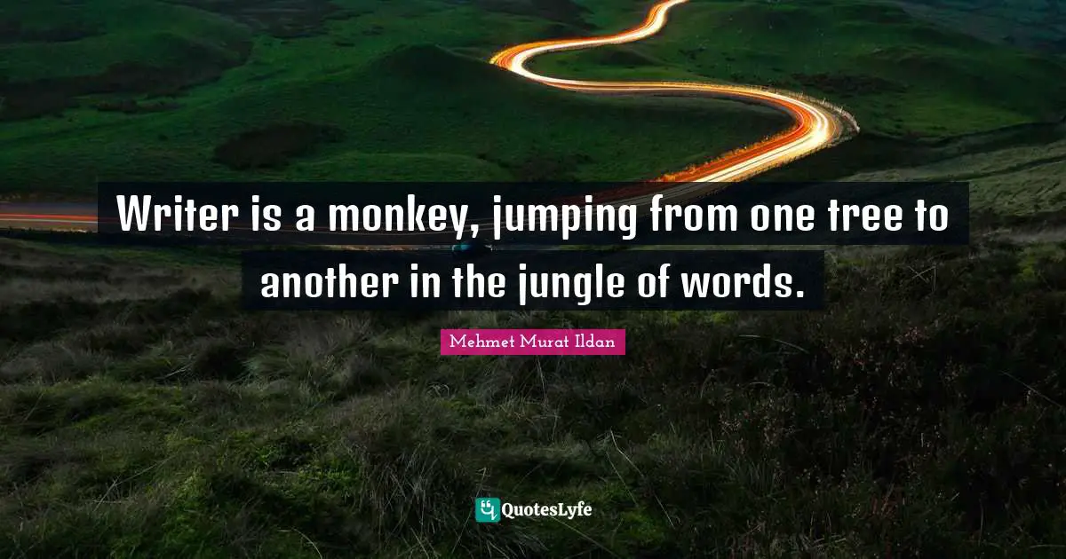 Writer is a monkey, jumping from one tree to another in the jungle of words.
