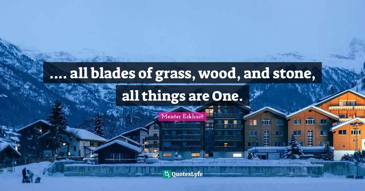 .... all blades of grass, wood, and stone, all things are One.