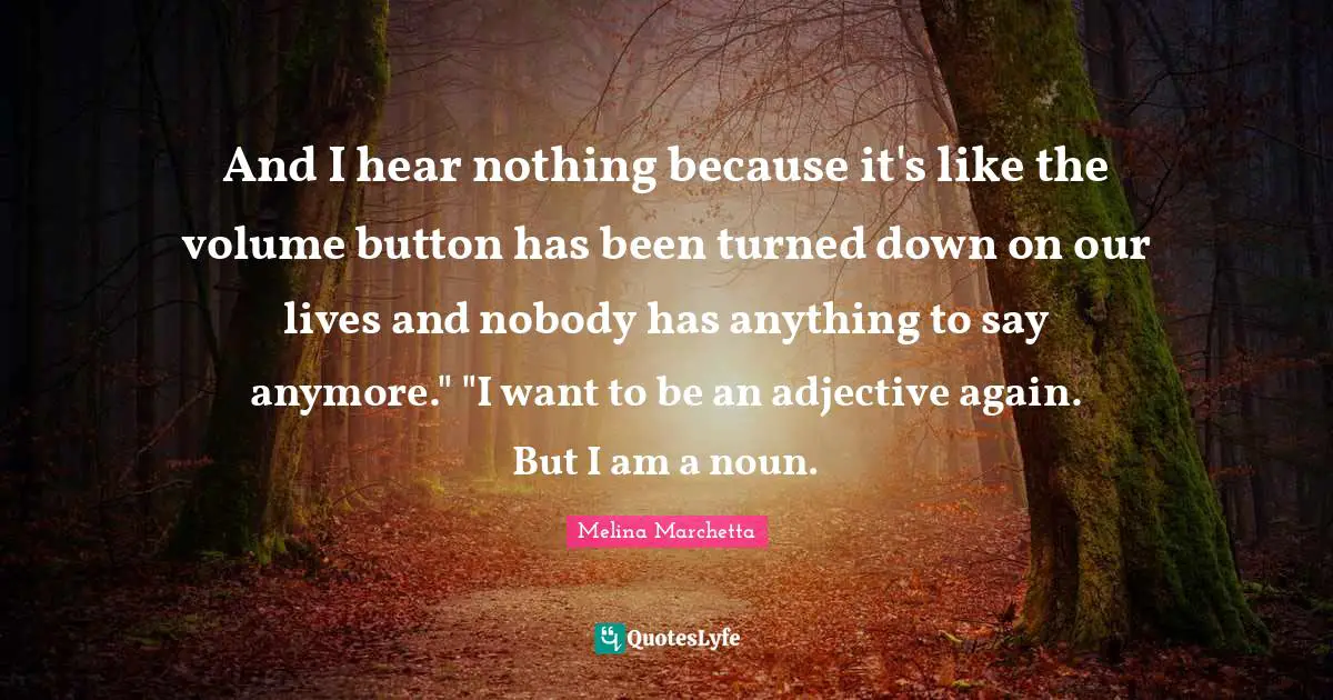 And I hear nothing because it's like the volume button has been turned down on our lives and nobody has anything to say anymore." "I want to be an adjective again. But I am a noun.