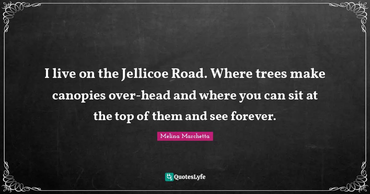 Melina Marchetta Quotes: "I live on the Jellicoe Road. Where trees make canopies over-head and where you can sit at the top of them and see forever."