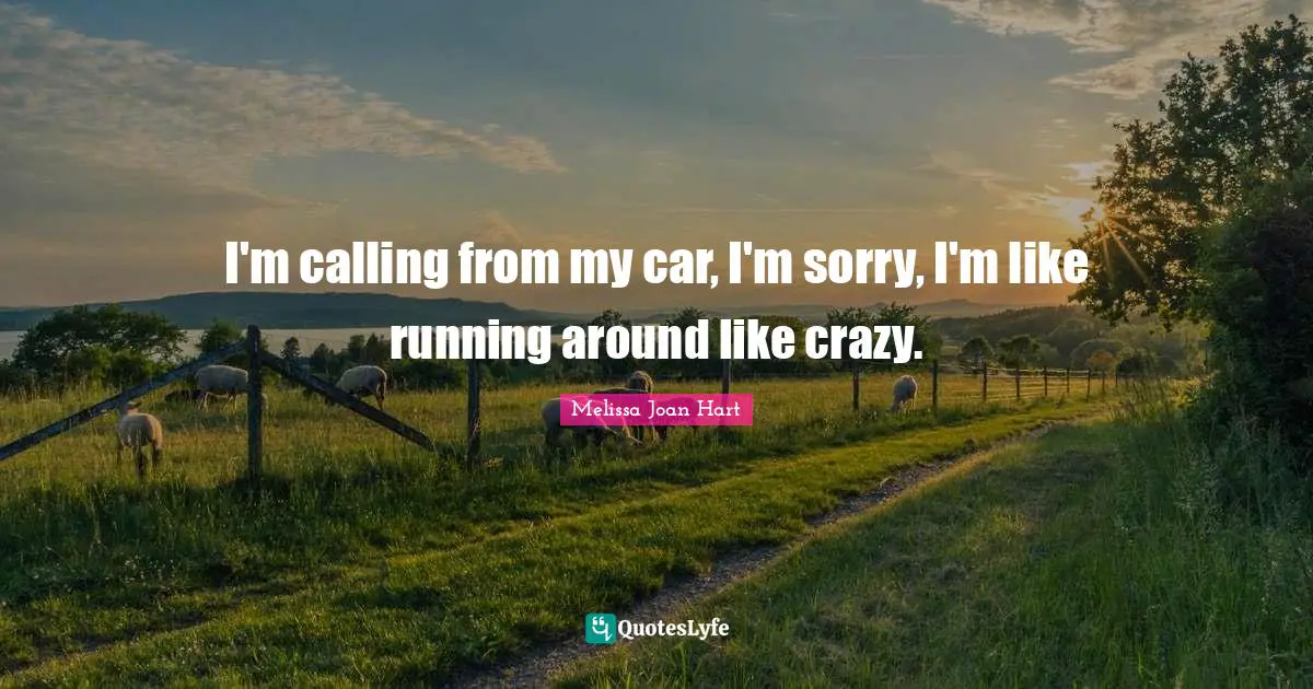 I'm calling from my car, I'm sorry, I'm like running around like crazy.
