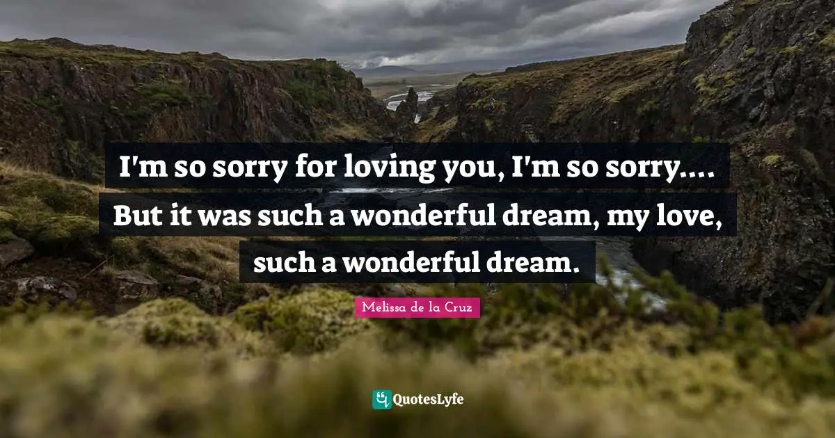 I'm so sorry for loving you, I'm so sorry.... But it was such a wonderful dream, my love, such a wonderful dream.