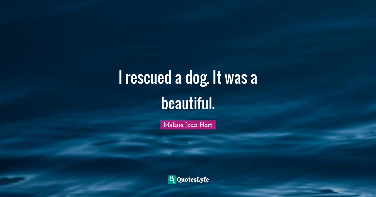 I rescued a dog. It was a beautiful.