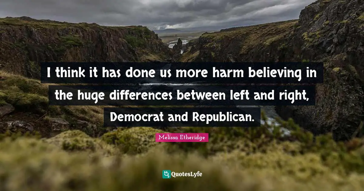 Melissa Etheridge Quotes: "I think it has done us more harm believing in the huge differences between left and right, Democrat and Republican."