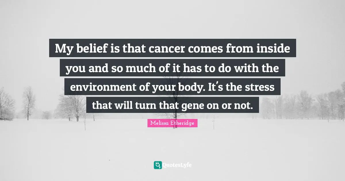 Melissa Etheridge Quotes: "My belief is that cancer comes from inside you and so much of it has to do with the environment of your body. It's the stress that will turn that gene on or not."