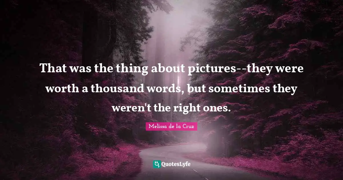 That was the thing about pictures--they were worth a thousand words, but sometimes they weren't the right ones.