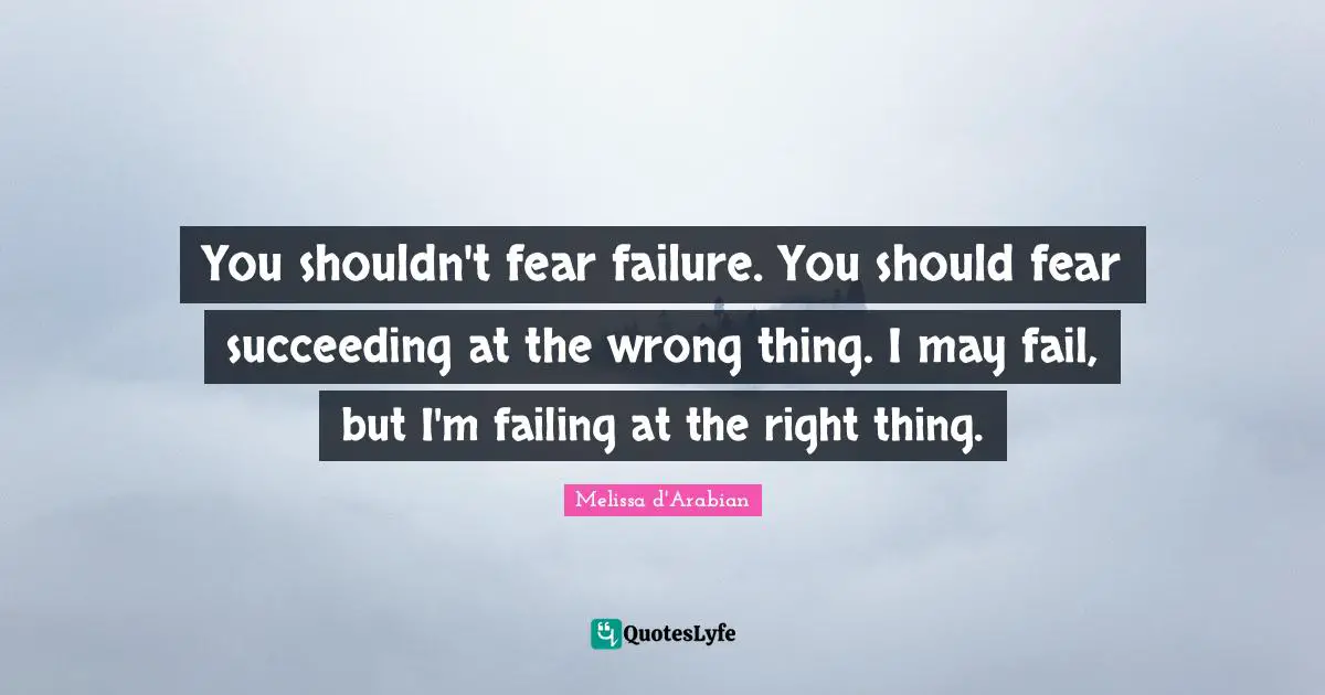 You shouldn't fear failure. You should fear succeeding at the wrong thing. I may fail, but I'm failing at the right thing.