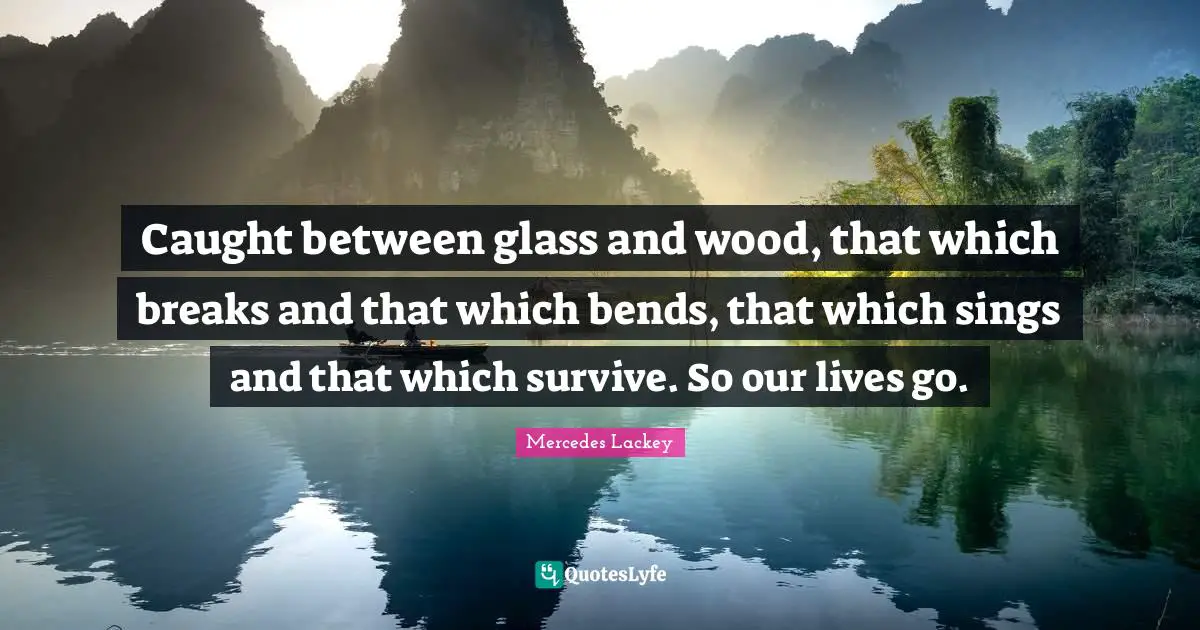 Caught between glass and wood, that which breaks and that which bends, that which sings and that which survive. So our lives go.