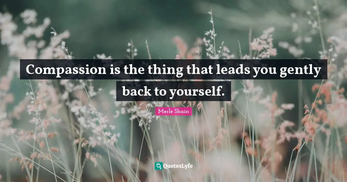 Merle Shain Quotes: "Compassion is the thing that leads you gently back to yourself."