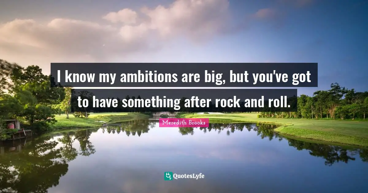 I know my ambitions are big, but you've got to have something after rock and roll.