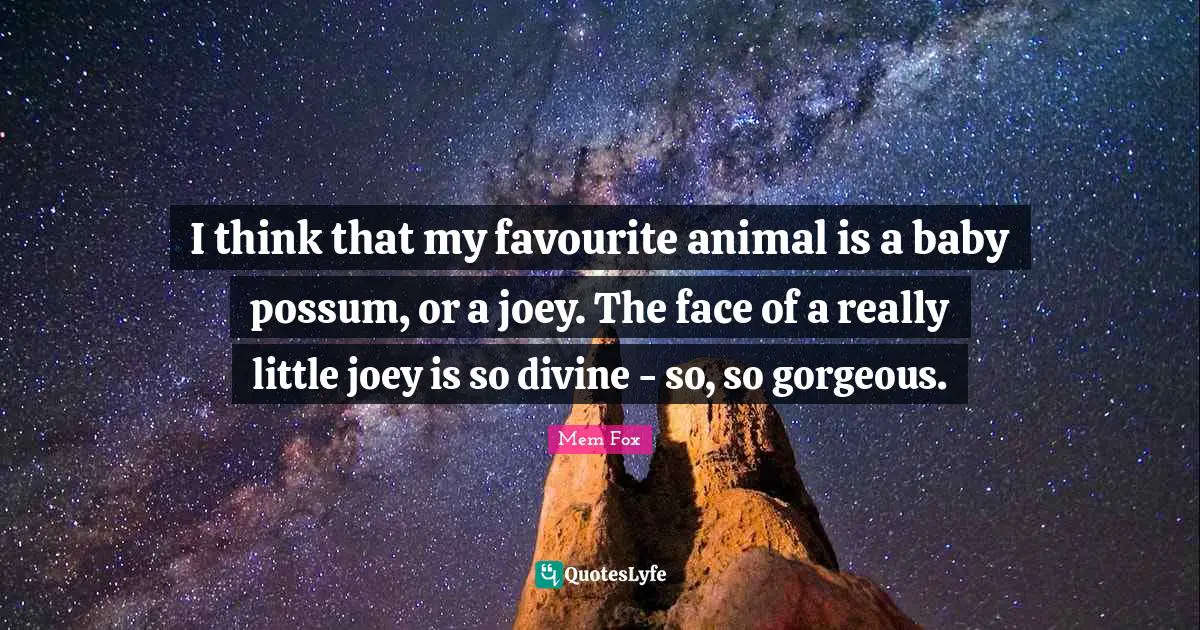 I think that my favourite animal is a baby possum, or a joey. The face of a really little joey is so divine - so, so gorgeous.