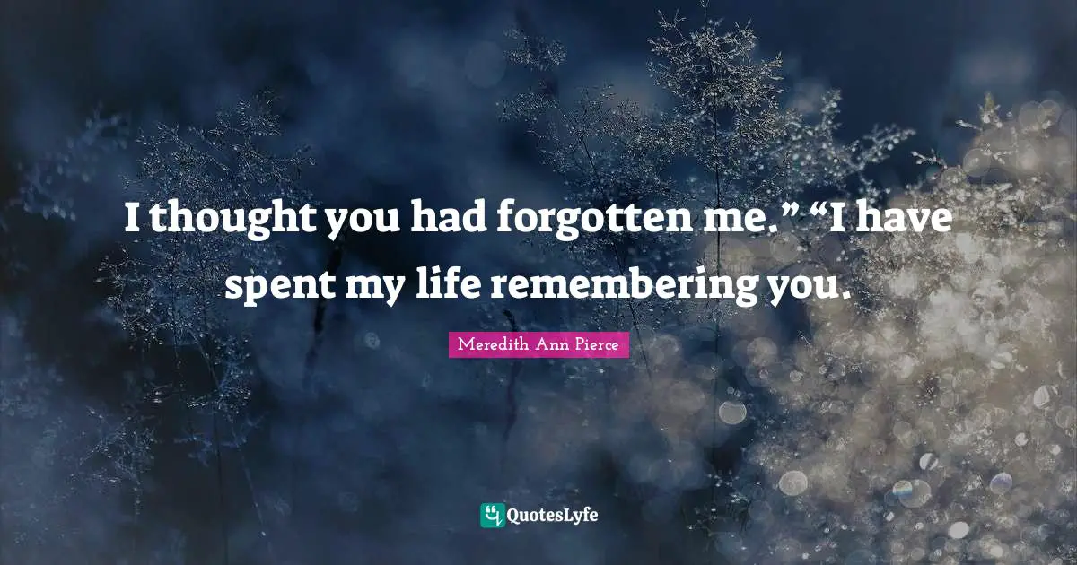 I thought you had forgotten me.” “I have spent my life remembering you.