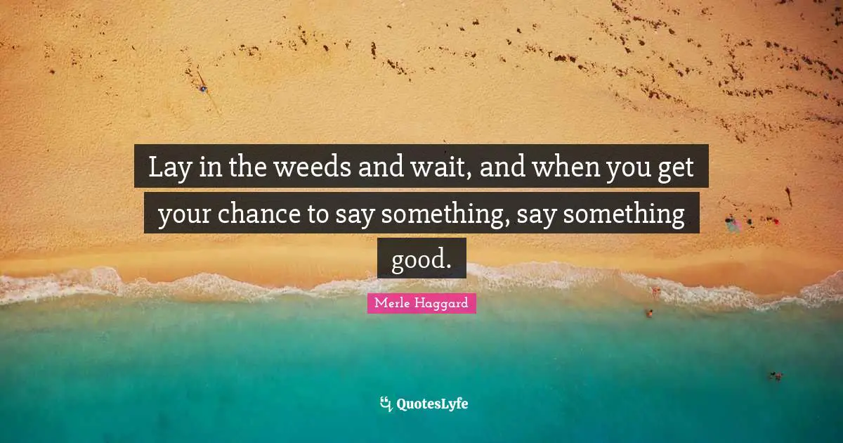 Chance Quotes: "Lay in the weeds and wait, and when you get your chance to say something, say something good."