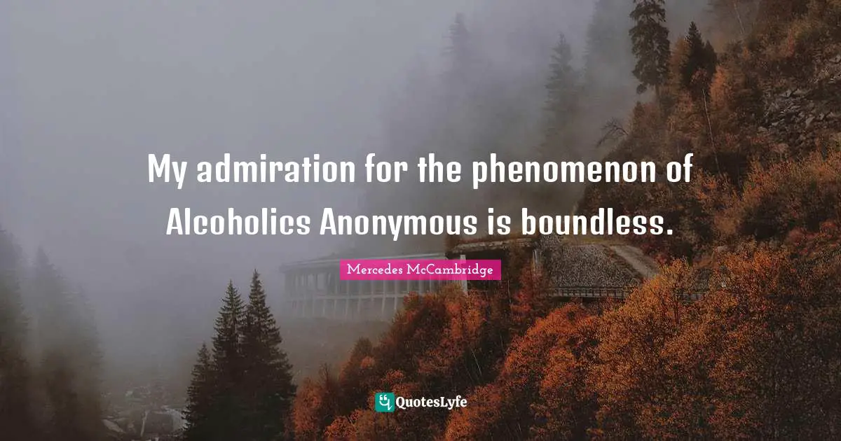 My admiration for the phenomenon of Alcoholics Anonymous is boundless.