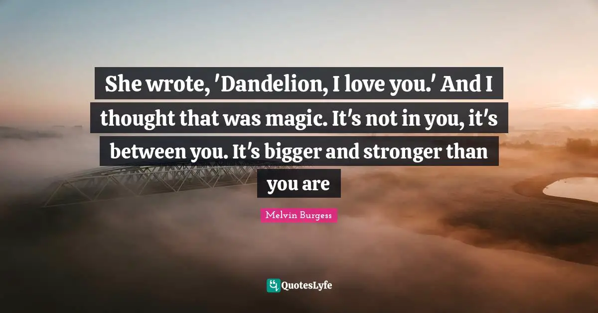 She wrote, 'Dandelion, I love you.' And I thought that was magic. It's not in you, it's between you. It's bigger and stronger than you are