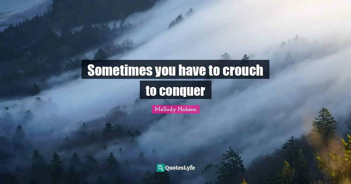 Mellody Hobson Quotes: "Sometimes you have to crouch to conquer"
