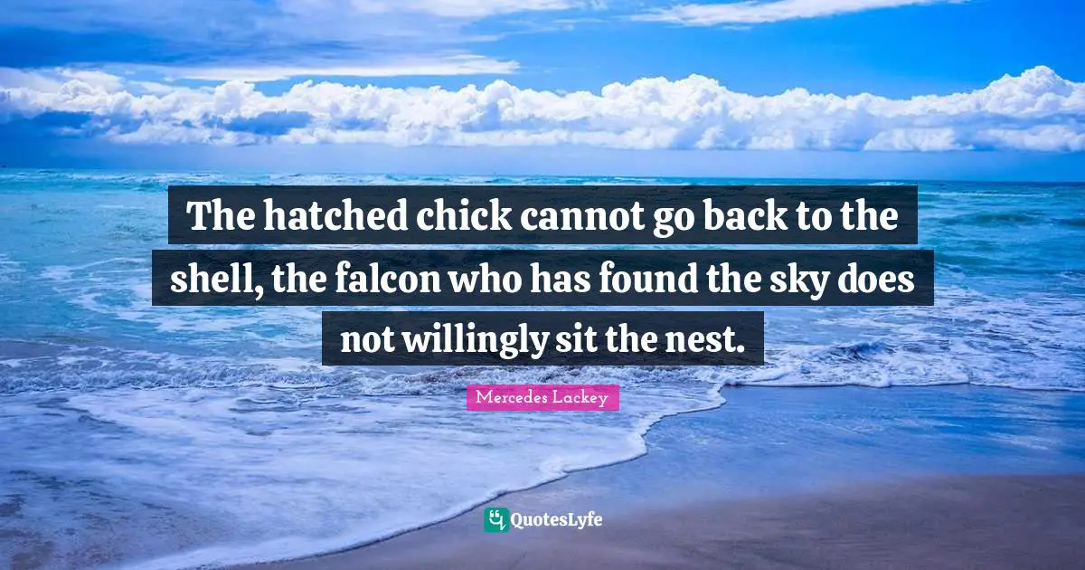 The hatched chick cannot go back to the shell, the falcon who has found the sky does not willingly sit the nest.