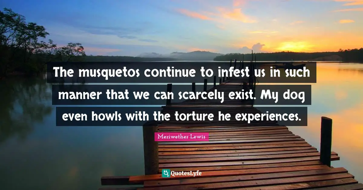 The musquetos continue to infest us in such manner that we can scarcely exist. My dog even howls with the torture he experiences.