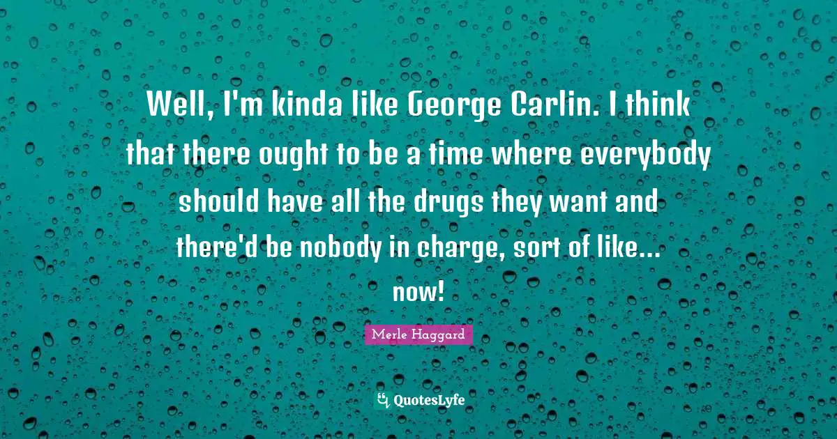Well, I'm kinda like George Carlin. I think that there ought to be a time where everybody should have all the drugs they want and there'd be nobody in charge, sort of like... now!