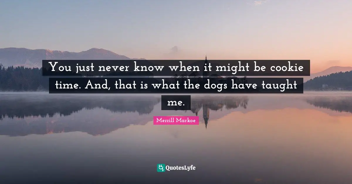 You just never know when it might be cookie time. And, that is what the dogs have taught me.