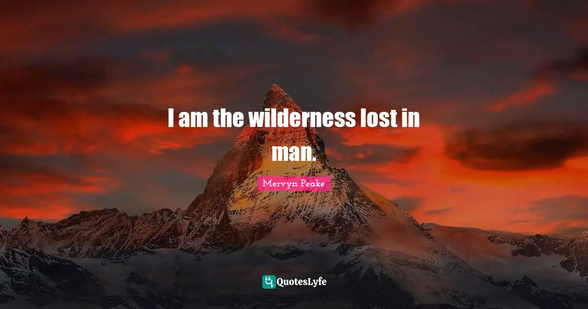 I am the wilderness lost in man.