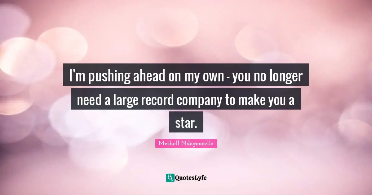 I'm pushing ahead on my own - you no longer need a large record company to make you a star.