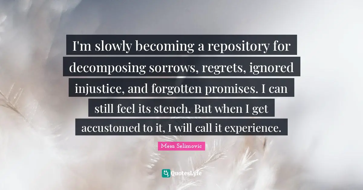 Accustomed Quotes: "I'm slowly becoming a repository for decomposing sorrows, regrets, ignored injustice, and forgotten promises. I can still feel its stench. But when I get accustomed to it, I will call it experience."