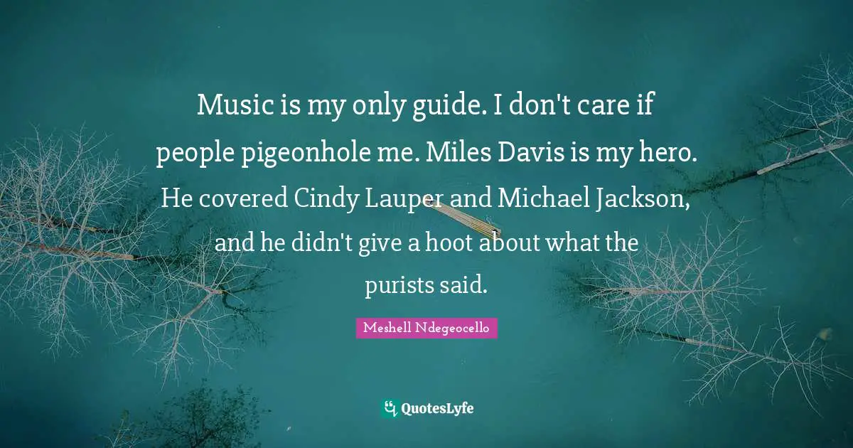 Music is my only guide. I don't care if people pigeonhole me. Miles Davis is my hero. He covered Cindy Lauper and Michael Jackson, and he didn't give a hoot about what the purists said.