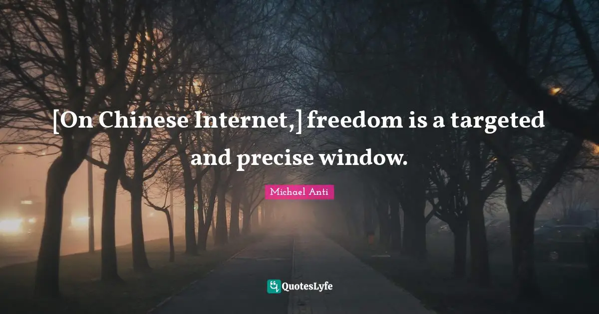 [On Chinese Internet,] freedom is a targeted and precise window.