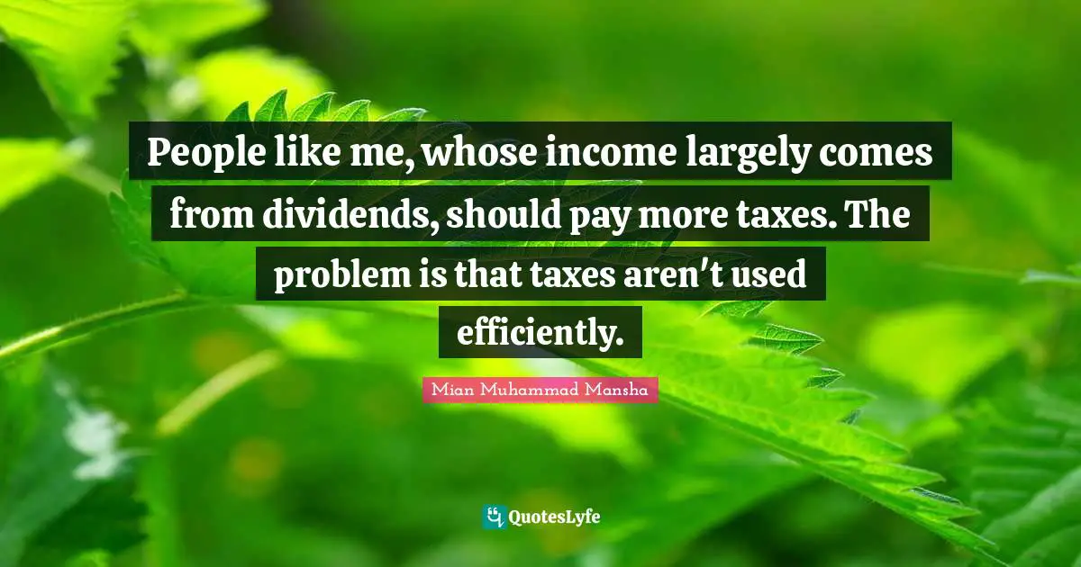 People like me, whose income largely comes from dividends, should pay more taxes. The problem is that taxes aren't used efficiently.