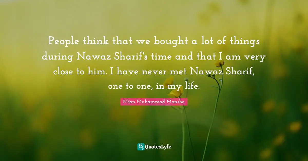 People think that we bought a lot of things during Nawaz Sharif's time and that I am very close to him. I have never met Nawaz Sharif, one to one, in my life.