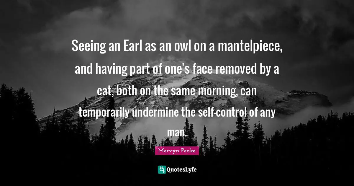Seeing an Earl as an owl on a mantelpiece, and having part of one's face removed by a cat, both on the same morning, can temporarily undermine the self-control of any man.