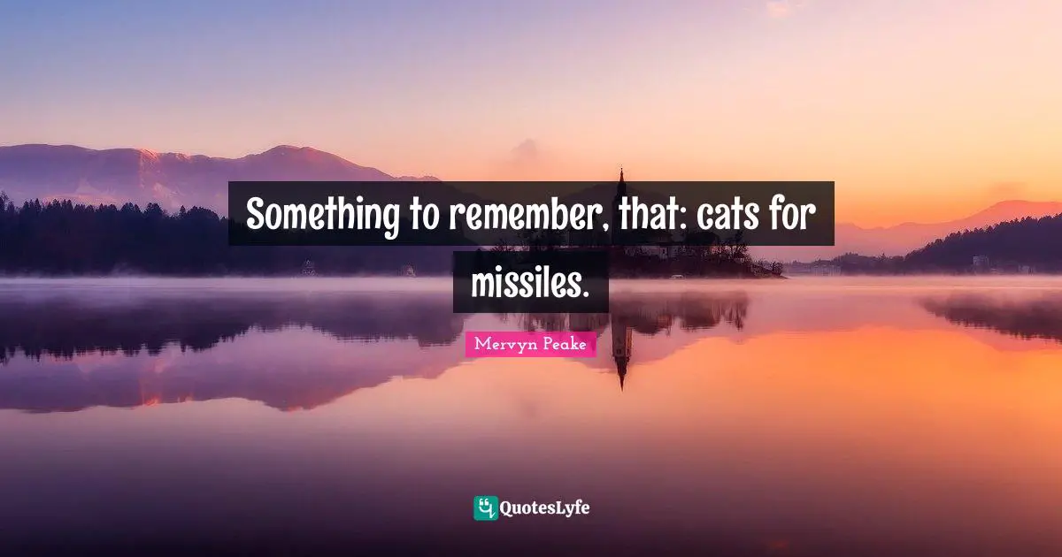 Something to remember, that: cats for missiles.
