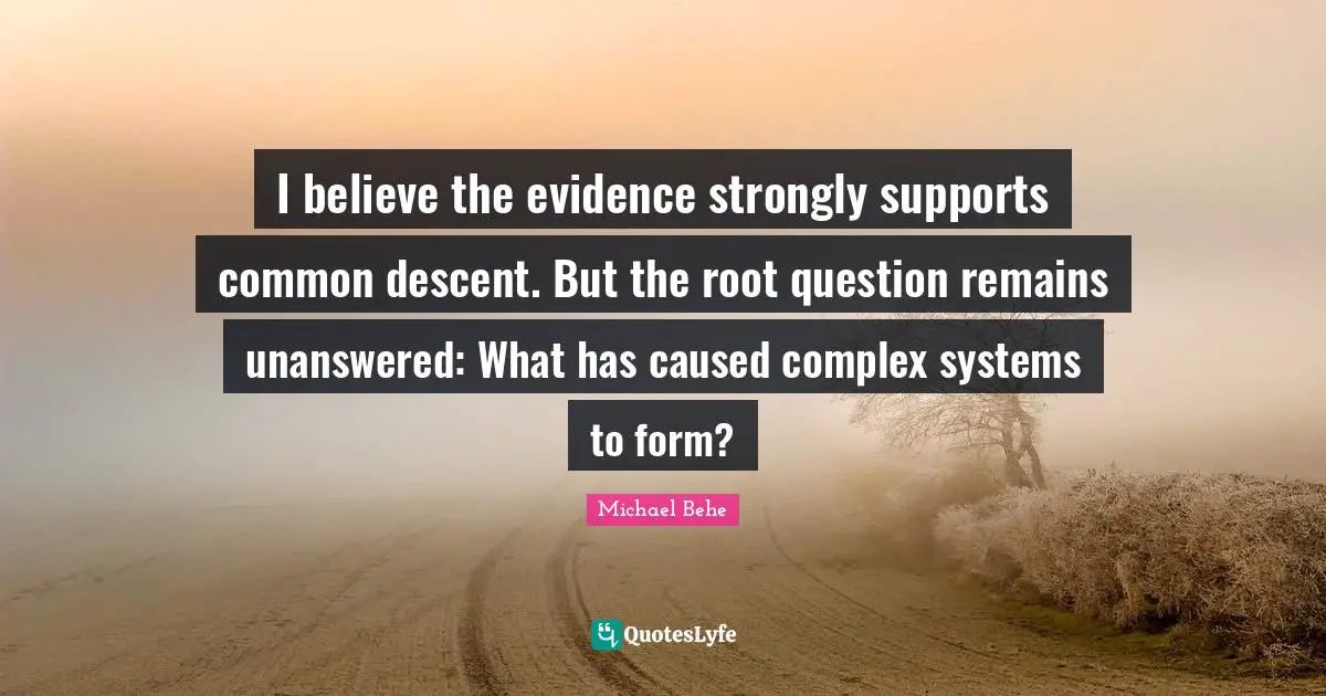 I believe the evidence strongly supports common descent. But the root question remains unanswered: What has caused complex systems to form?