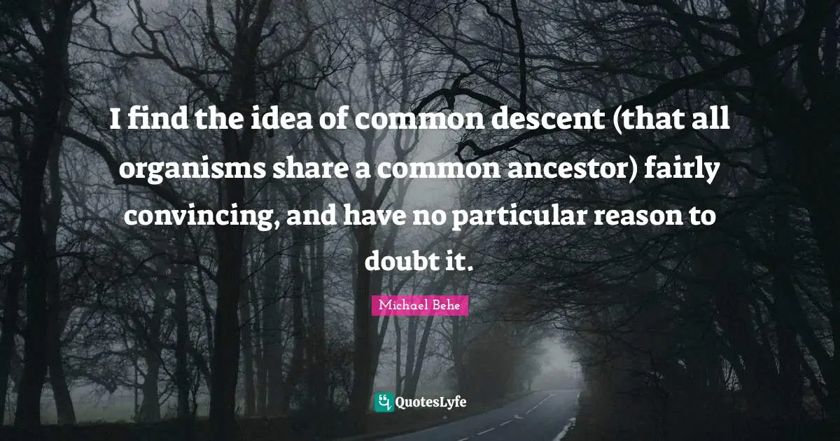 I find the idea of common descent (that all organisms share a common ancestor) fairly convincing, and have no particular reason to doubt it.